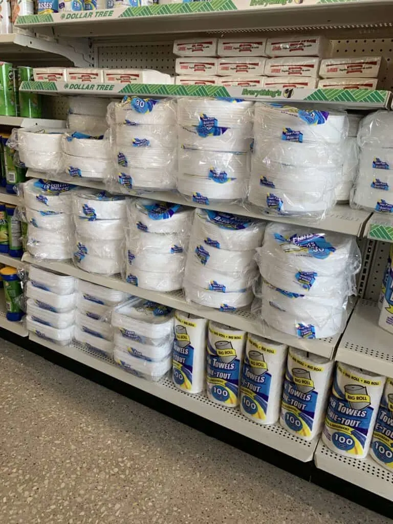 Dollar tree paper plates best sale