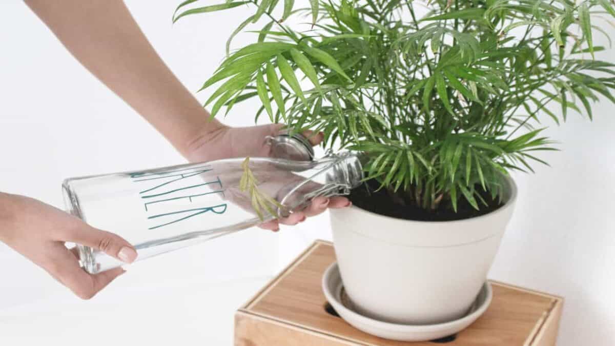 Household Tips And Tricks To Save Money