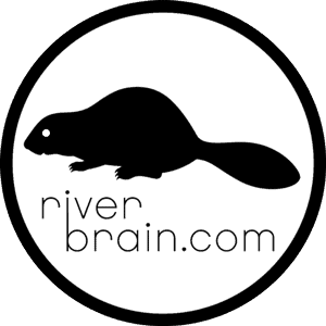 Free Stickers from River Brain